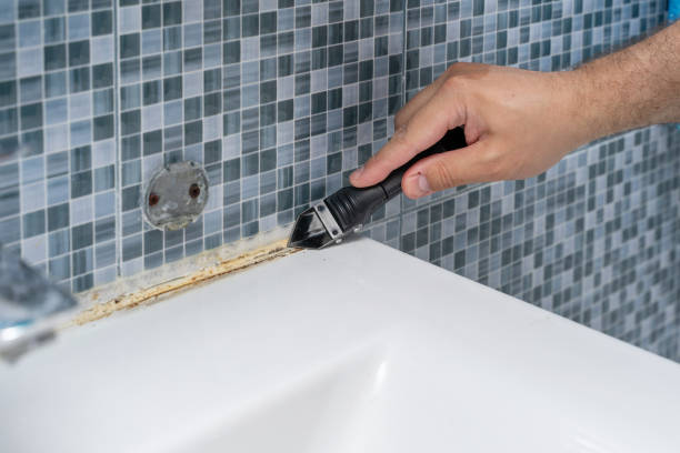 Best Kitchen Mold Remediation in Gladstone, MO