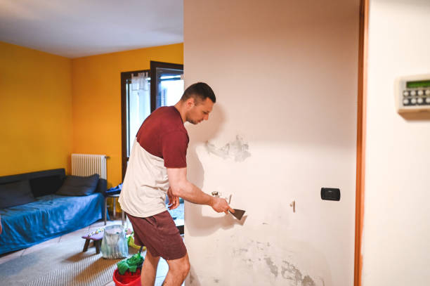 Best HVAC Mold Remediation in Gladstone, MO